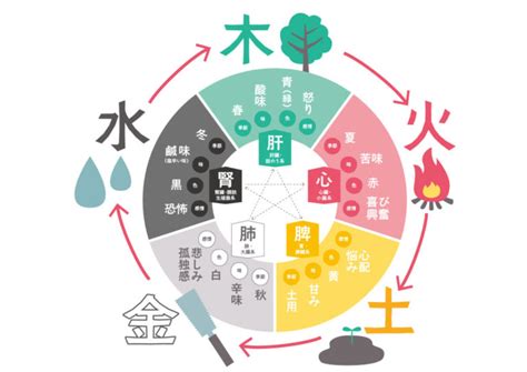 五行健康躁|五行説の概要と人体との関係 